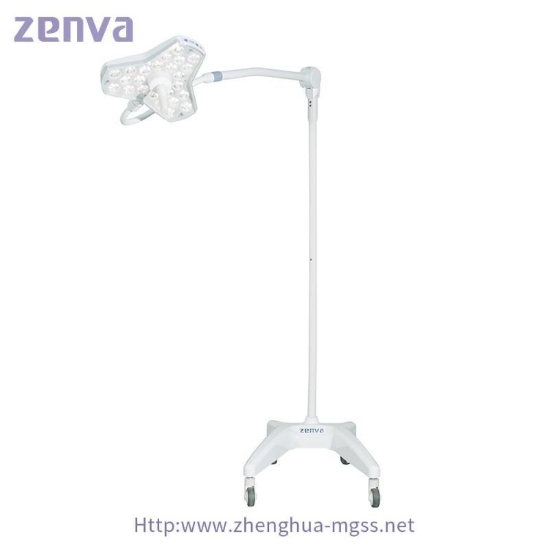 I-Zenva Exam Light